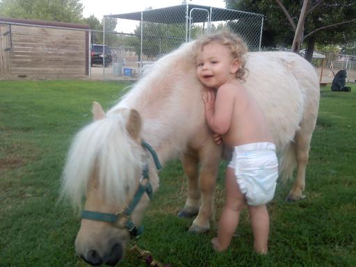 School event with goats and sheep