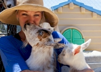 Holiday nativity with donkey