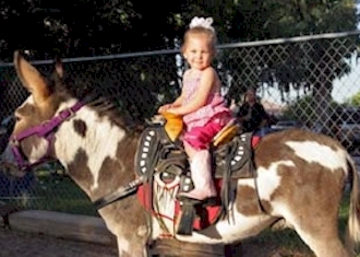 Children petting bunnies